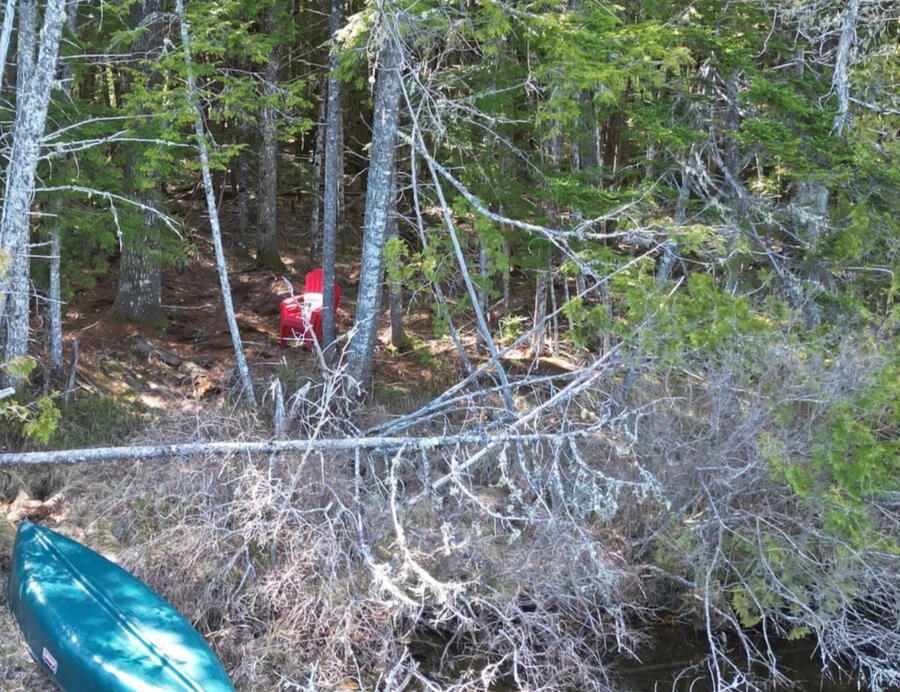 The Waterfront (there is potential)