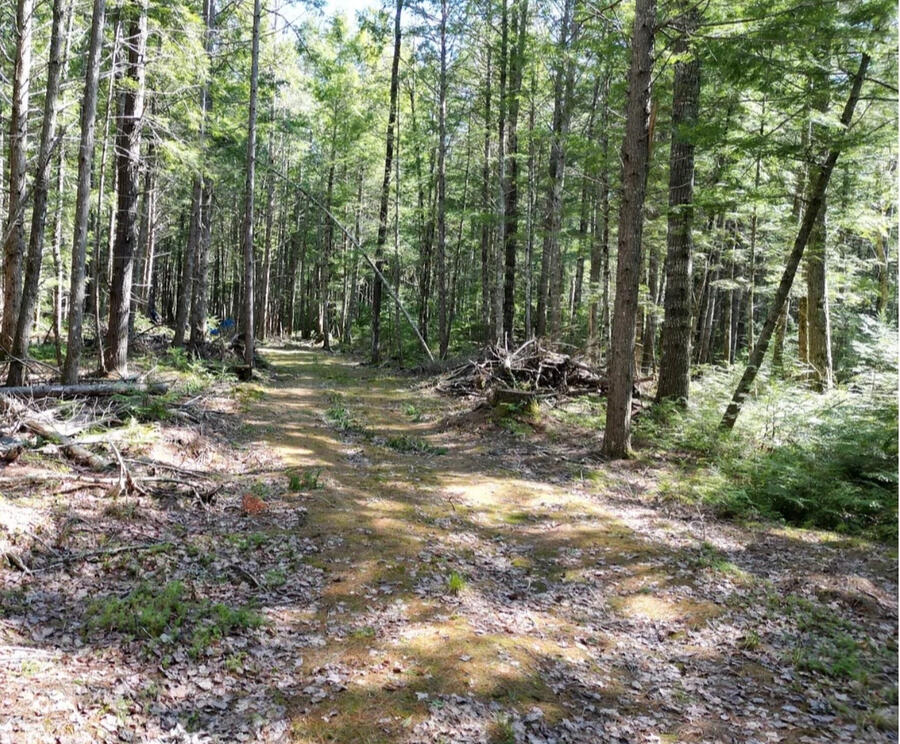 The Mud (Clay) Nightmare